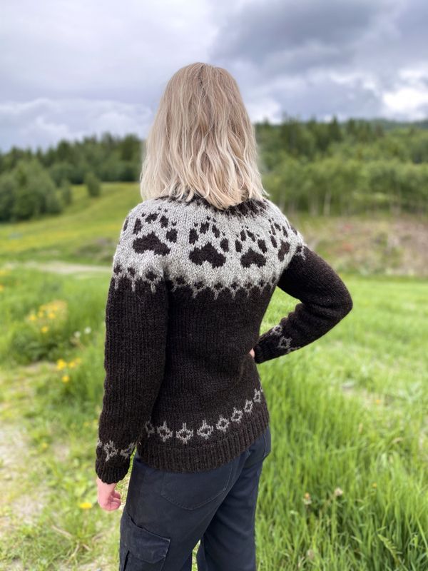 Bækre Villsau - Hvitgrå