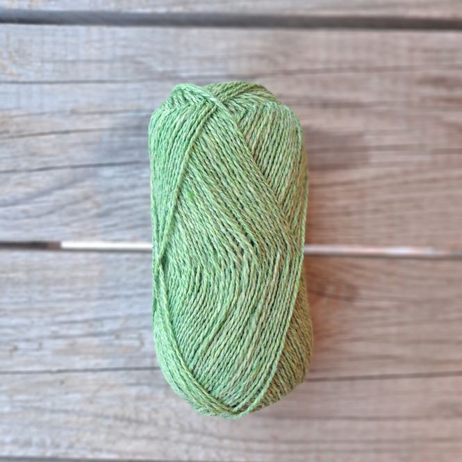 Hovedbilde Vesle Trønder - Kiwi