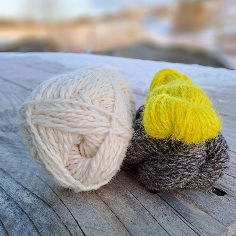 Strikkepakke - Solskinnsvott samojed