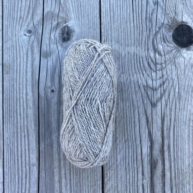 Hovedbilde Gimre Samojed - Grå